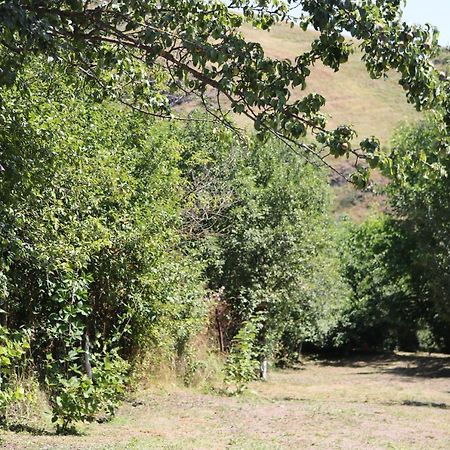 Villa Shamakhyan דיליג'אן מראה חיצוני תמונה
