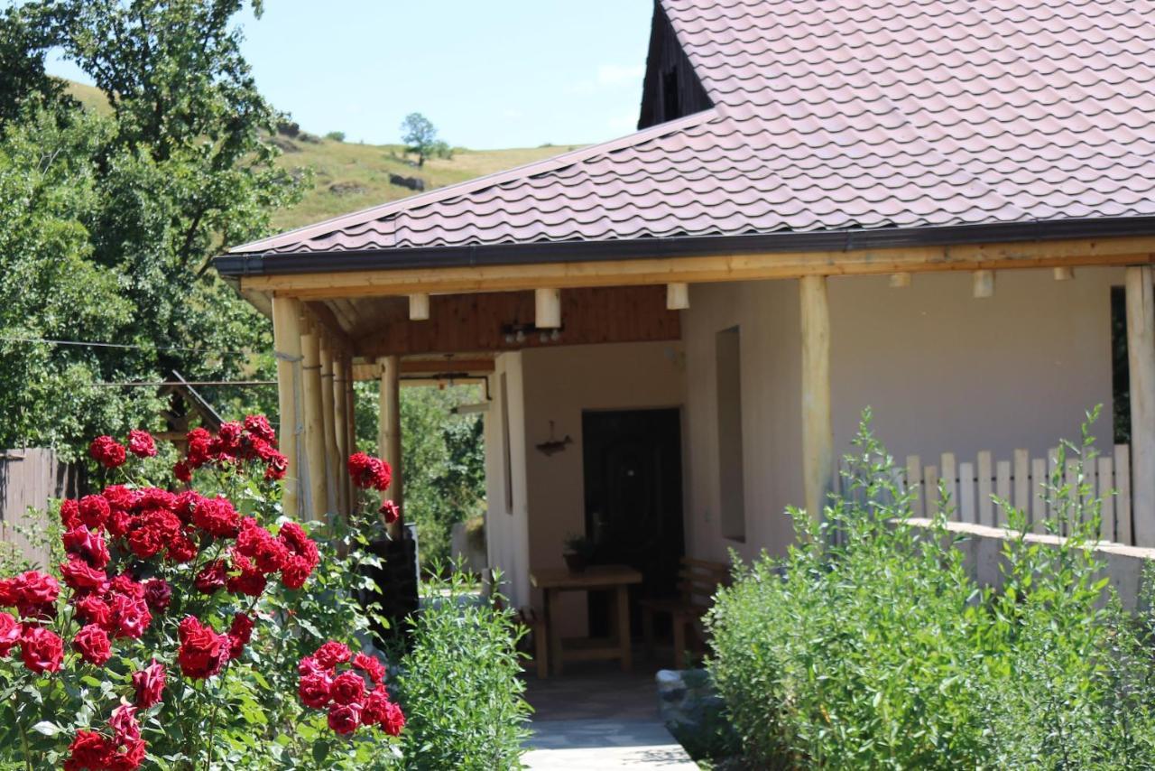Villa Shamakhyan דיליג'אן מראה חיצוני תמונה