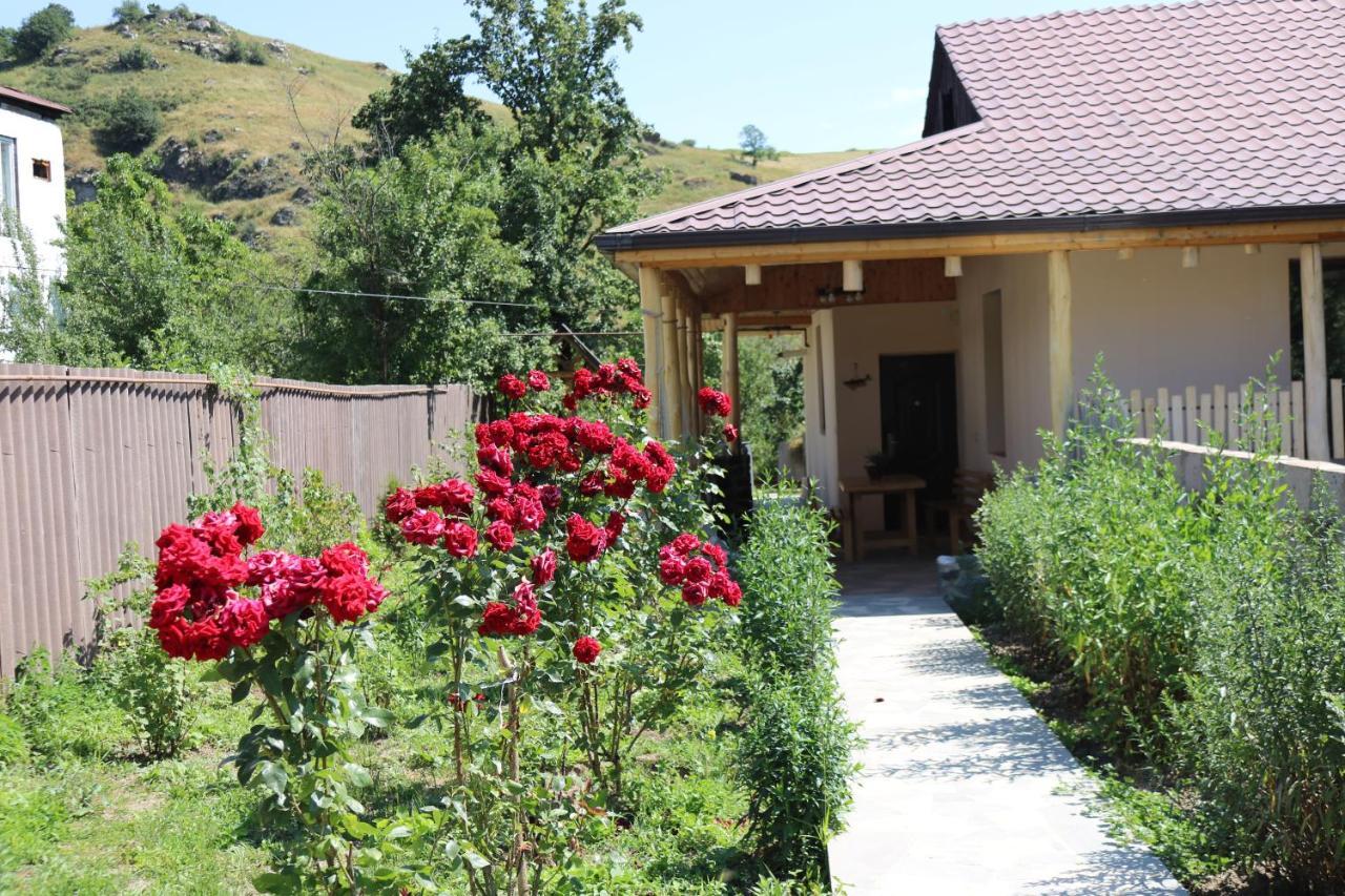 Villa Shamakhyan דיליג'אן מראה חיצוני תמונה